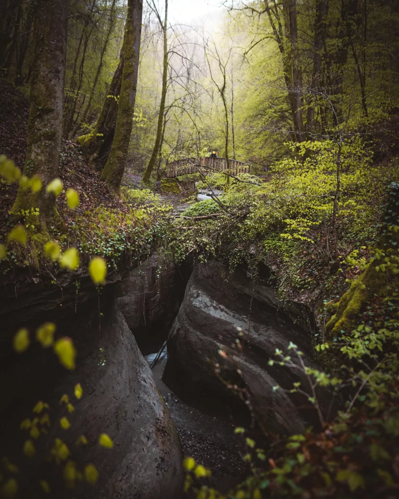 berges du Rhône et la tine de Parnant, un joyau naturel à découvrir