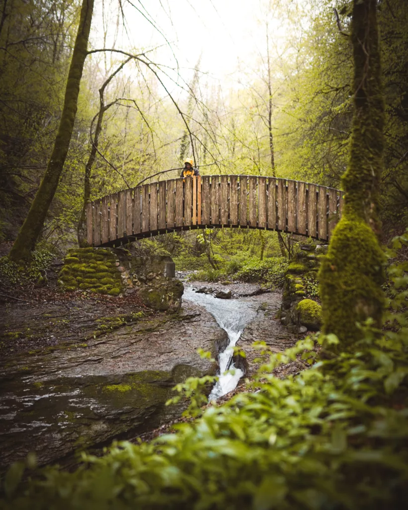 Randonnée dans l'Ain sur les Berges du Rhône proche de Bellegarde.