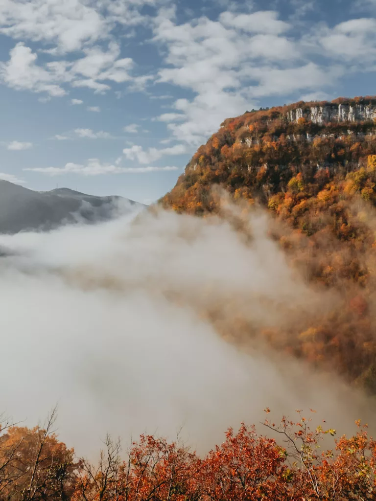 Reculée de Corveissiat depuis la route