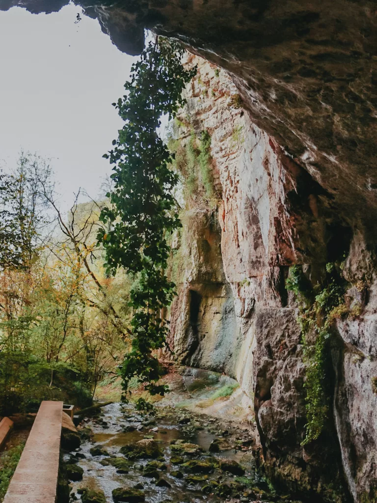 Reculée de Corveissiat en descendant vers la grottes aux chauves souris