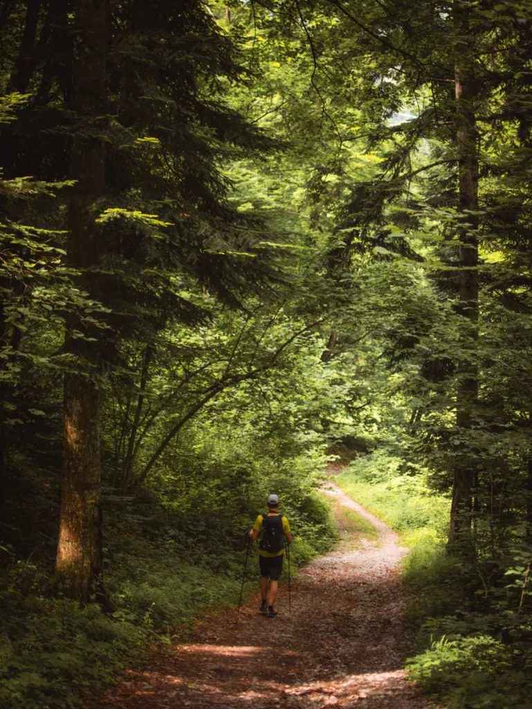 Sentier forestier lors de la randonnée autour du Pieu à Saint-Paul-de-Varces proche de grenoble