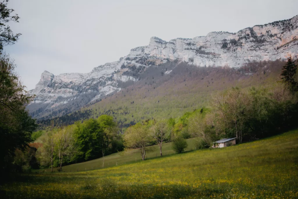 Randonnée au-dessus de Grenoble entre la tourbière du Peuil et les falaises du Vercors. Le tout accessible en transport en commun.