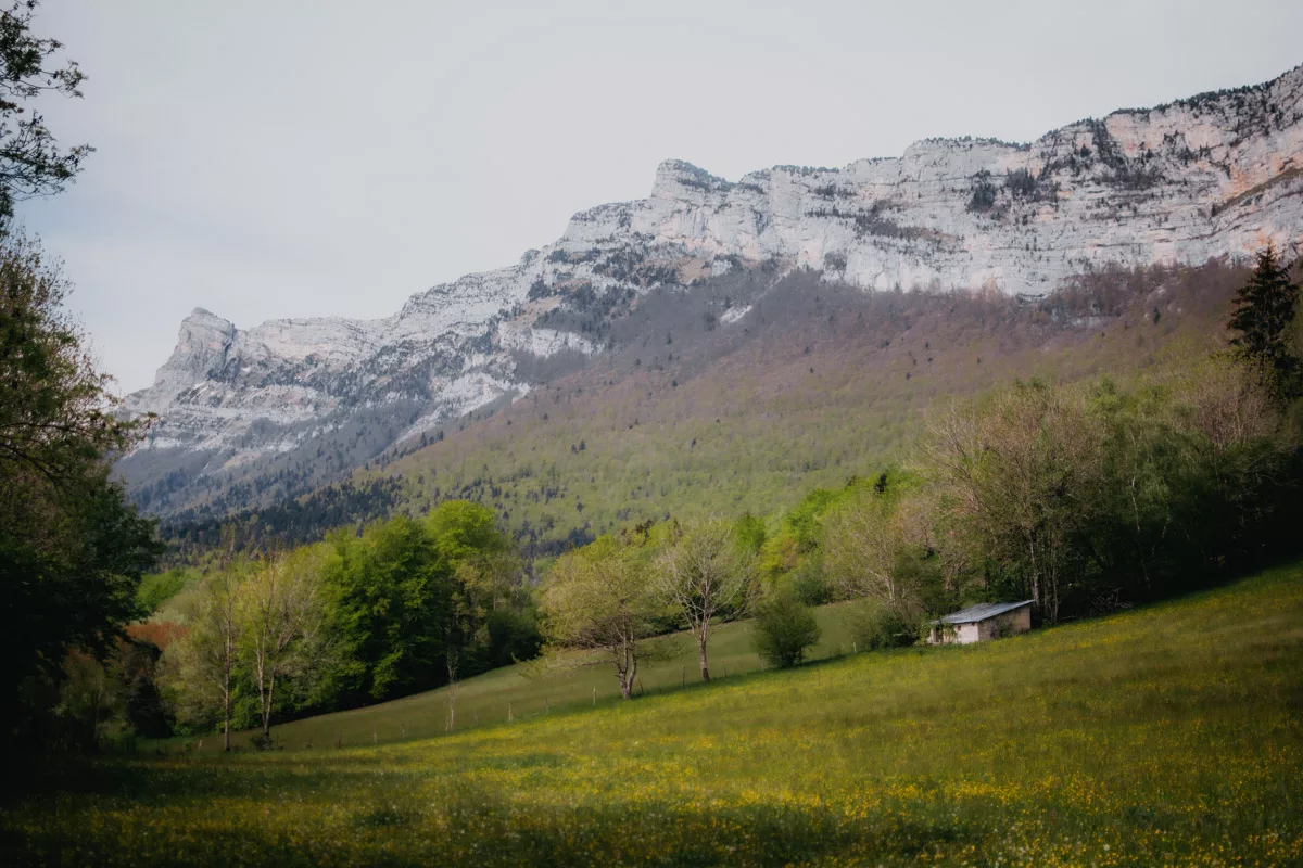 Randonnée à la Tourbière du Peuil en Isère.