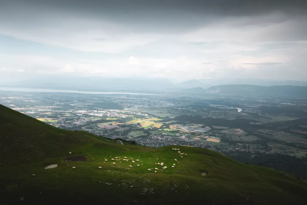 Reculet et Crêt de la Neige : randonnée Monts du Jura dans l'Ain