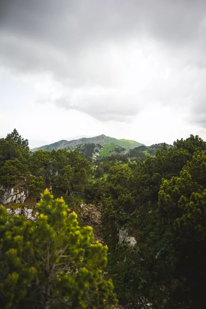 Crêt de la neige et Reculet, chaîne du Jura (Ain) randonnée dans le Pays de Gex.