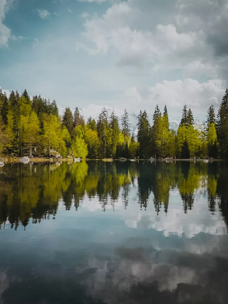 Randonnée facile proche de Chamonix avec vue sur le Mont blanc, le plus beau lac de Haute-Savoie.