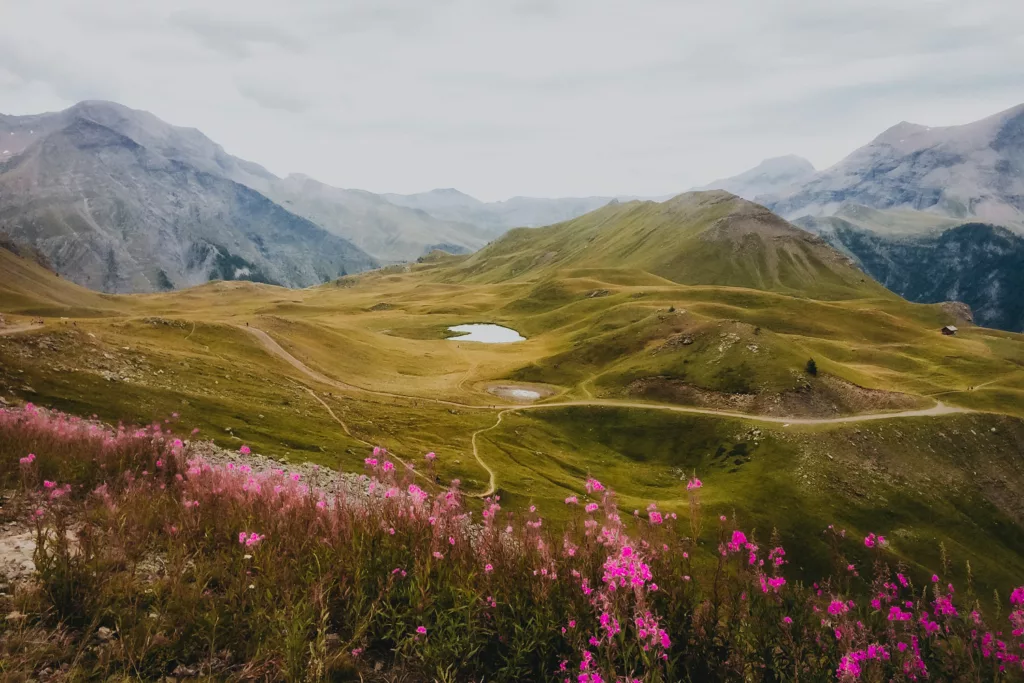 Randonnée à Orcières dans les Écrins : photos des lacs et alpahges fleuris, randonnée dans les Hautes-Alpes.