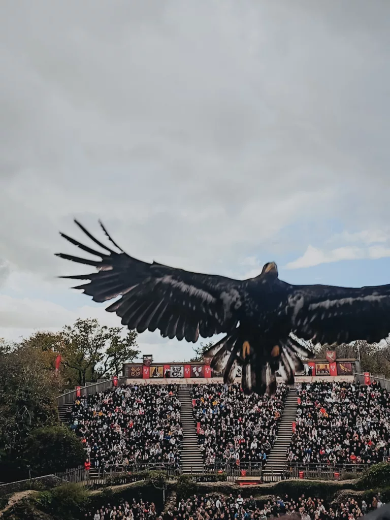 Spectacle Le Bal des Oiseaux Fantômes au Puy du Fou, parc d'attraction en Vendée, France.