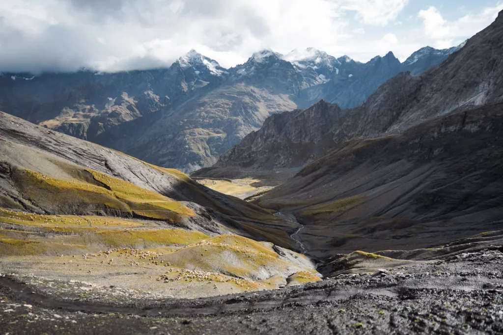Col de Vallonpierrre, vue sur le massif des Écrins et des troupeaux de moutons.