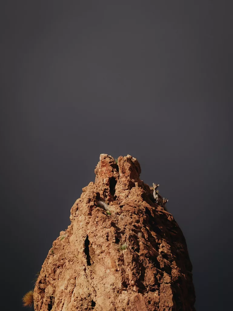 Bouquetins et ciel orageux dans le désert proche de Tabernas (Sierra Alhamilla).