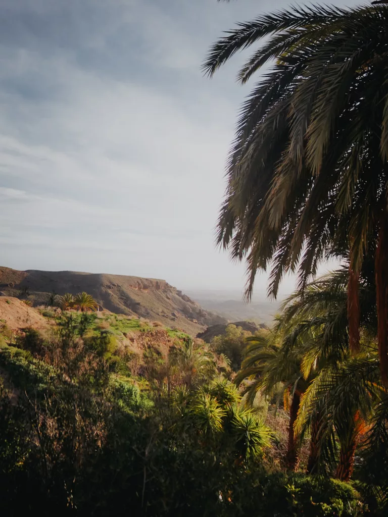 Oasis de SIerra Alhamilla, paysages d'Andalousie dans la province d'Almeria.