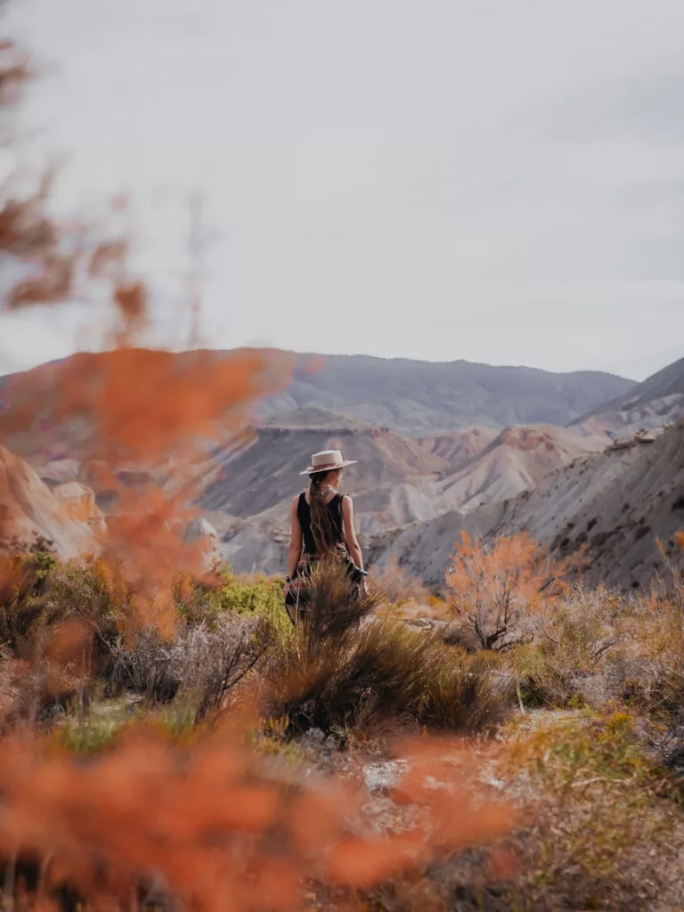 Paysages désertiques dans le désert de Tabernas dans le sud de l'Espagne (Andalousie).
