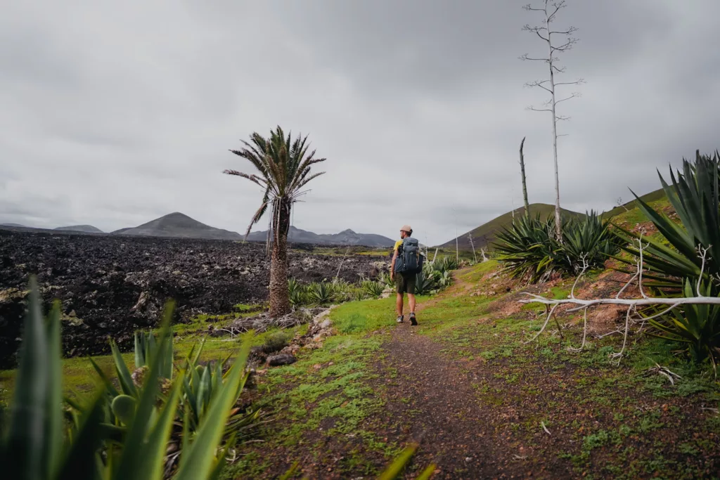 Lanzarote en février, découverte de l'île très verte en hiver, meilleure période pour découvrir et visiter Lanzarote.