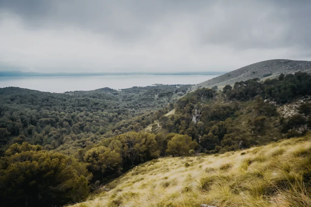 Vue depuis l'un des sommets de la randonnée à la péninsule d'Alcudia à Majorque