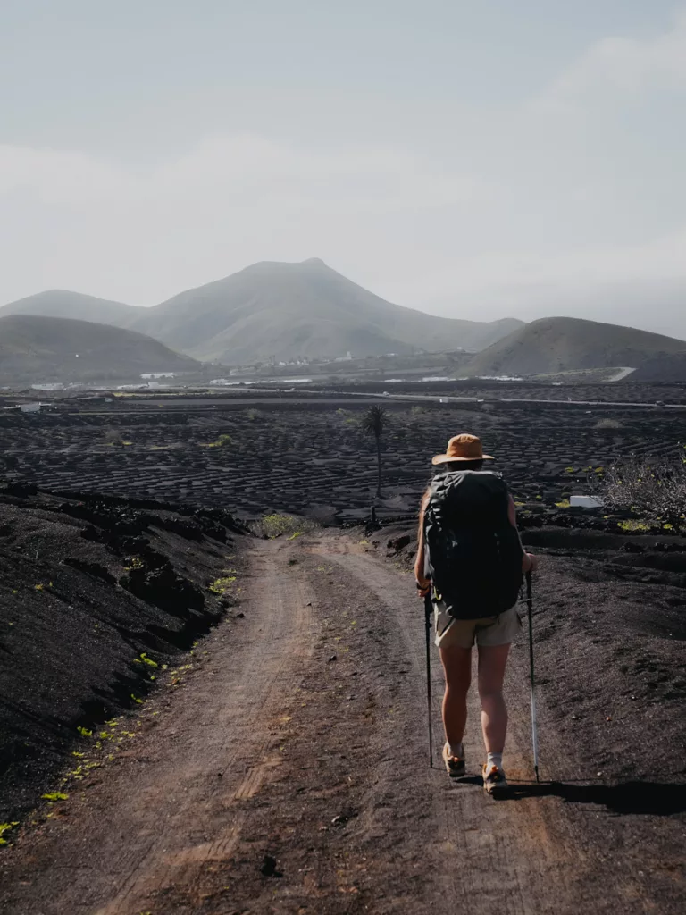 La Geria, culture de la vigne dans les champs de lave à Lanzarote (GR131).