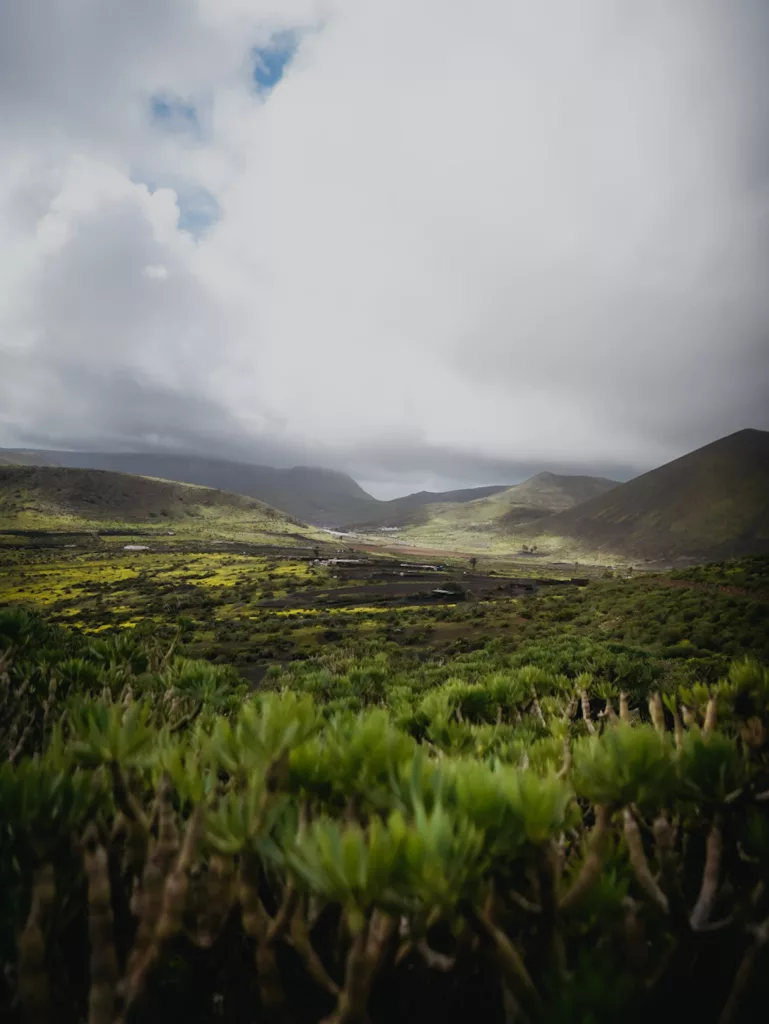 Paysages volcaniques et verdoyants de Lanzarote.