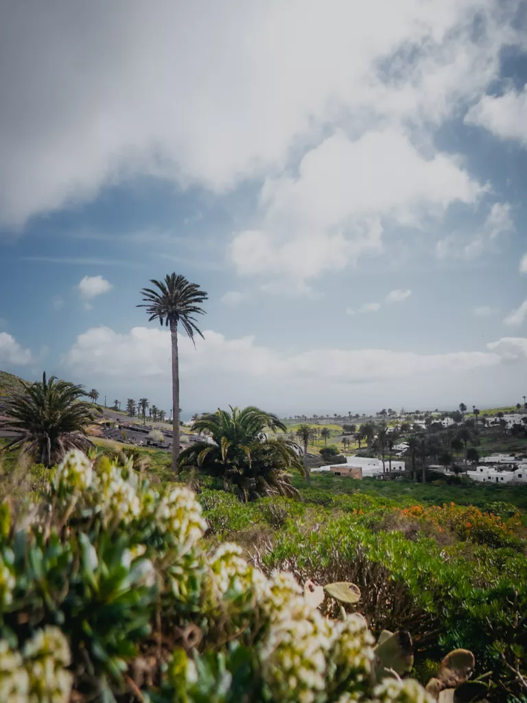 Paysages de Lanzarote en février sur le GR131.