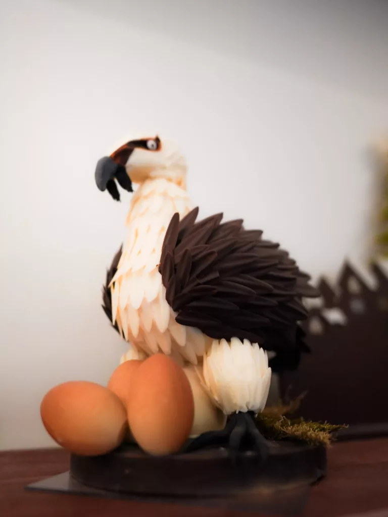 Gypaète barbu en chocolat à la chocolaterie Noir ou Blanc à Lourdes. 