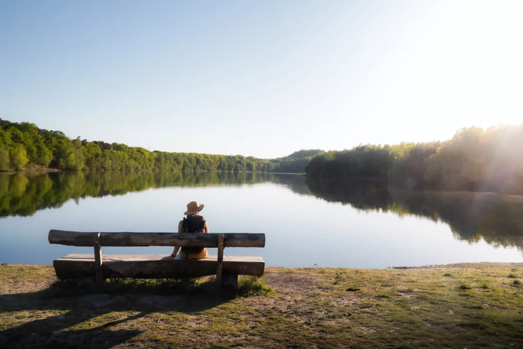 Une pause mémorable au bord d'un lac dans le parc naturel de la Haute Campine (Hoge Kempen)