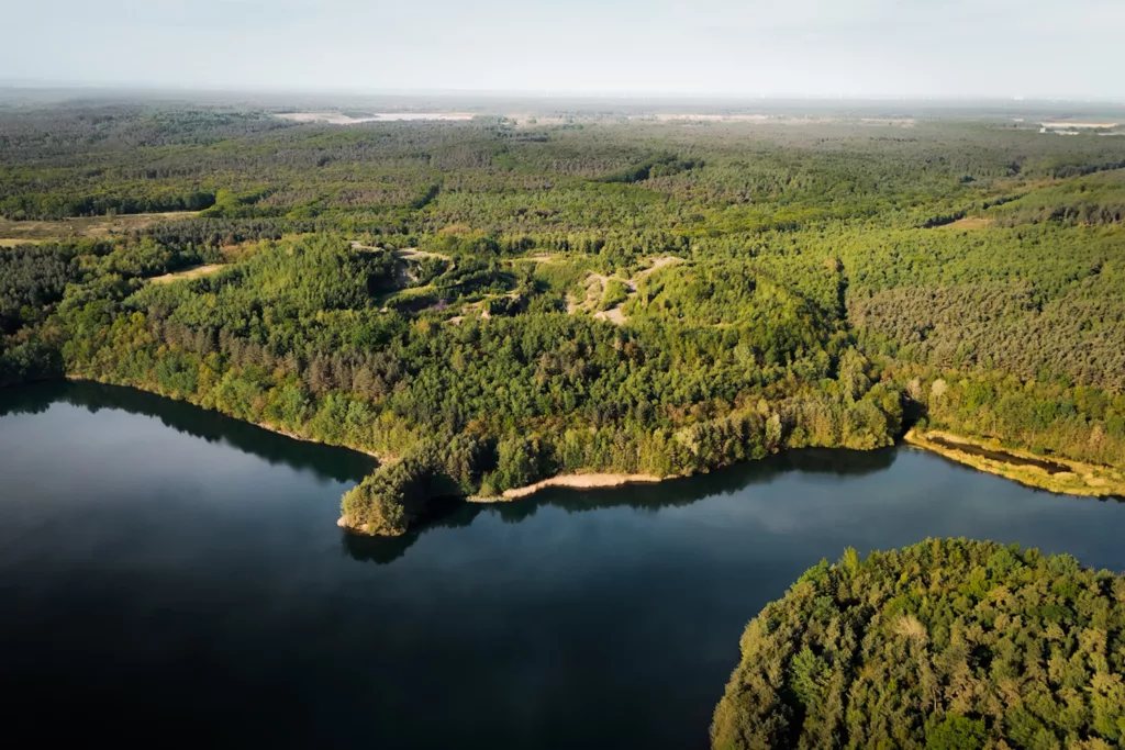 Parc national de la Haute Campine (Hoge Kempen), randonner sur le National Park Trail en Belgique (Flandre) : guide complet pour réaliser ce trek.