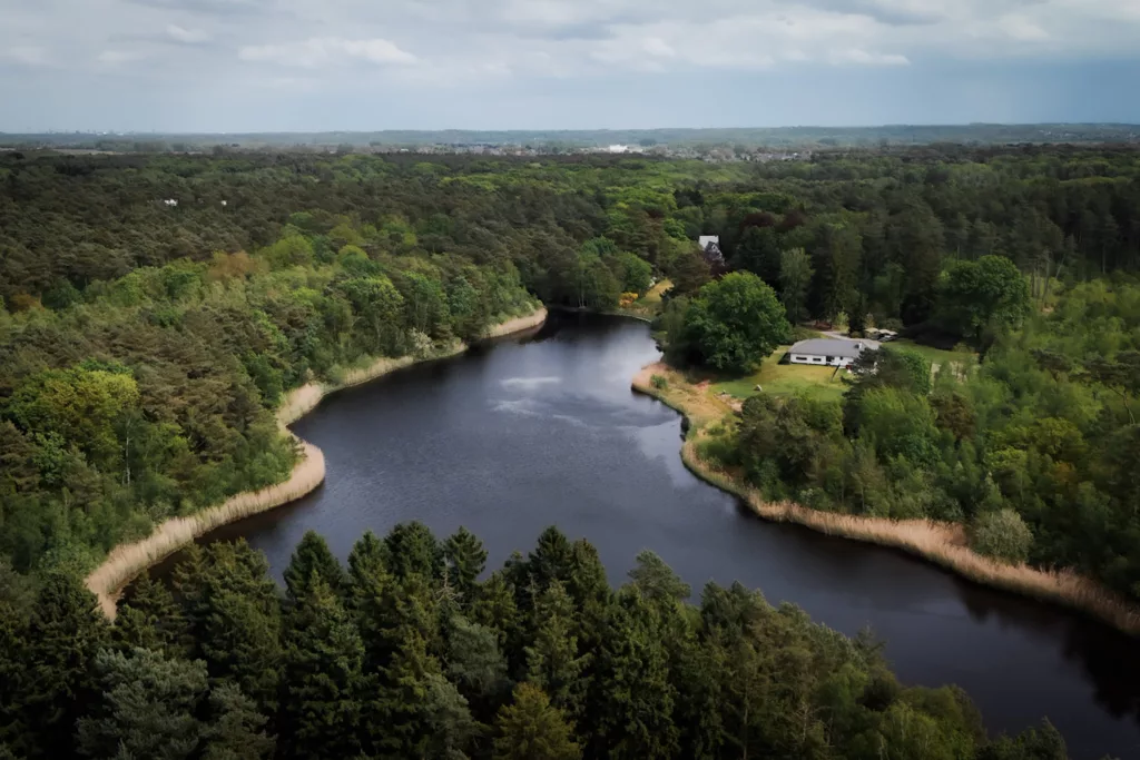 Des lacs cachés dans le parc naturel de la Haute Campine (Hoge Kempen)