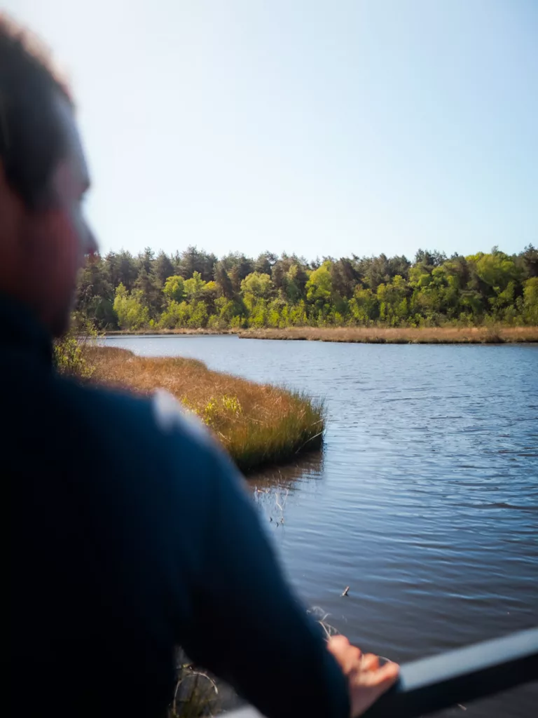 Lacs et étangs en Belgique dans le parc naturel de la Haute Campine (Hoge Kempen)