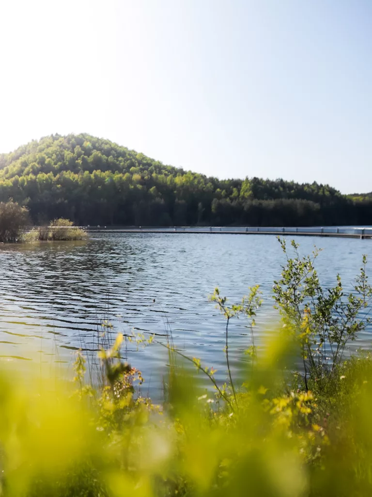 Passerelle de Mijnterrils dans le parc naturel de la Haute Campine (Hoge Kempen)