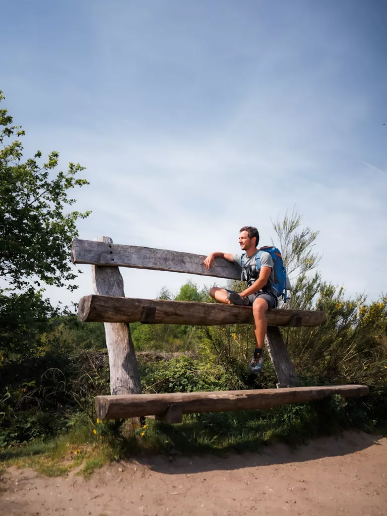 Des bancs géants dans le parc naturel de la Haute Campine (Hoge Kempen)