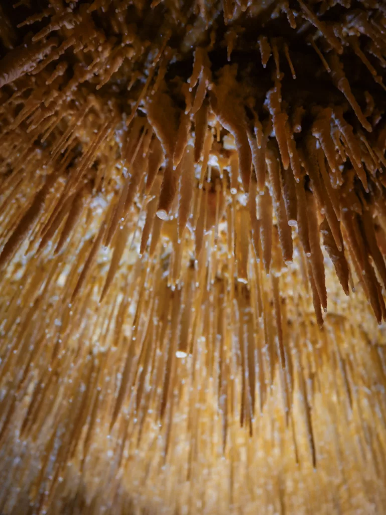 Grottes de Cougnac à Gourdon dans le Lot. Découverte des grottes et des peintures préhistoriques.
