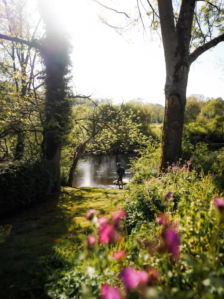 Randonnée en Normandie : le plus belle randonnée de Suisse Normande à Clécy. Randonneur au bord de l'eau et fleurs du printemps sur les berges de l'Oise.