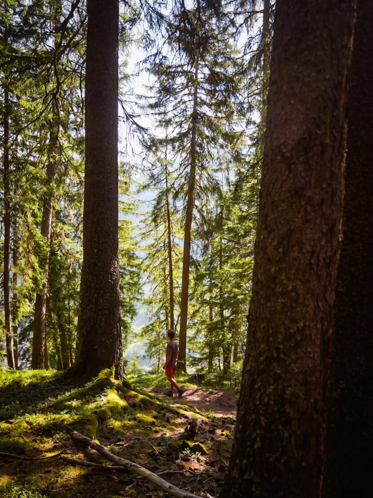 Randonnée dans la réserve naturelle des Hauts de Villaroger en Haute Tarentaise. Sentier balisé à thème et visites guidées gratuites. 