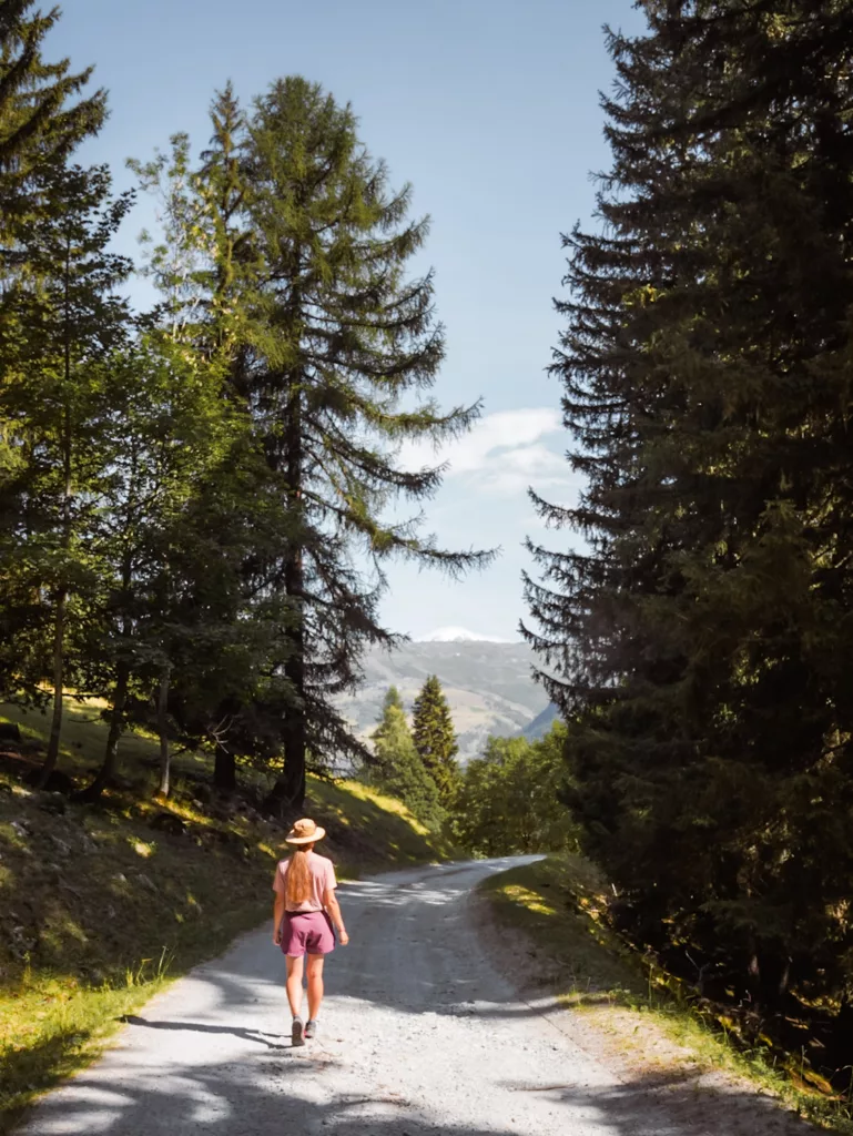 Randonnée dans la réserve naturelle des Hauts de Villaroger en Haute Tarentaise. Sentier balisé à thème et visites guidées gratuites. 