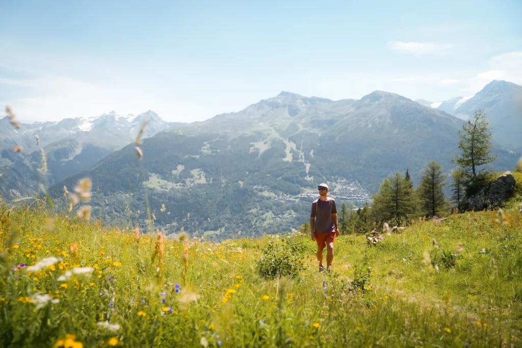 Randonnée dans la réserve naturelle des Hauts de Villaroger en Haute Tarentaise. Sentier balisé à thème et visites guidées gratuites. 