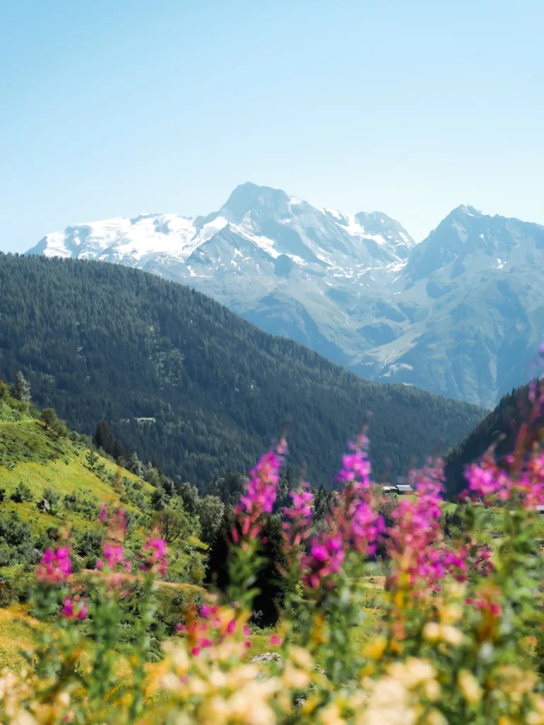 Grand Tour de Tarentaise, grand trek dans les Alpes (Savoie, Haute Savoie), alternative au Tour du Mont Blanc. Itinéraire de trek depuis Bourg Saint Maurice en Tarentaise, Vanoise. GTT