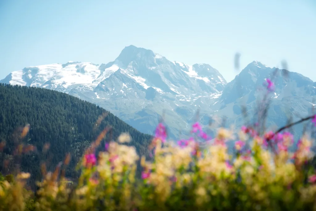 Découvrir la Haute Tarentaise en été : Bourg Saint Maurice, col du Petit Saint Bernard, VTT sur la Fario, trek en montagne. 